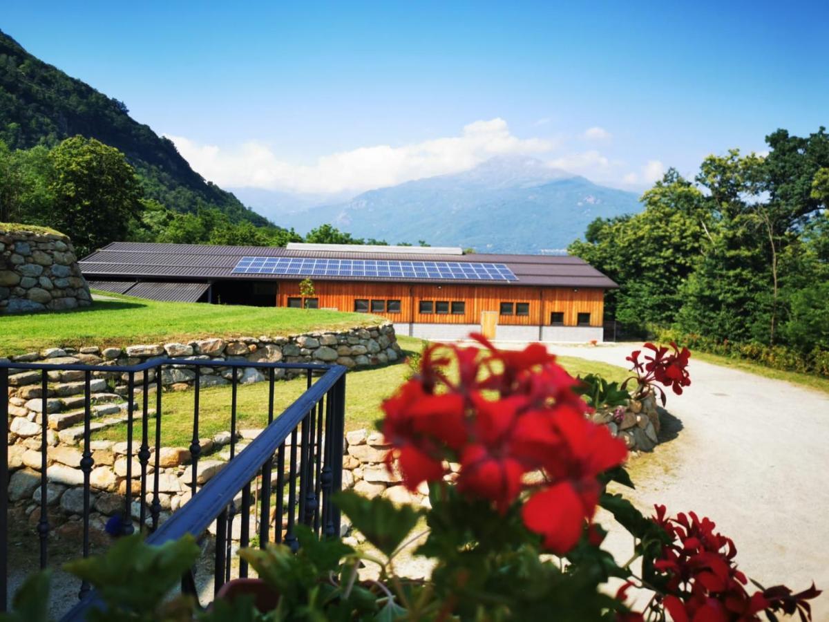 Agriturismo La Ca' D'Amelio Lessolo Екстер'єр фото