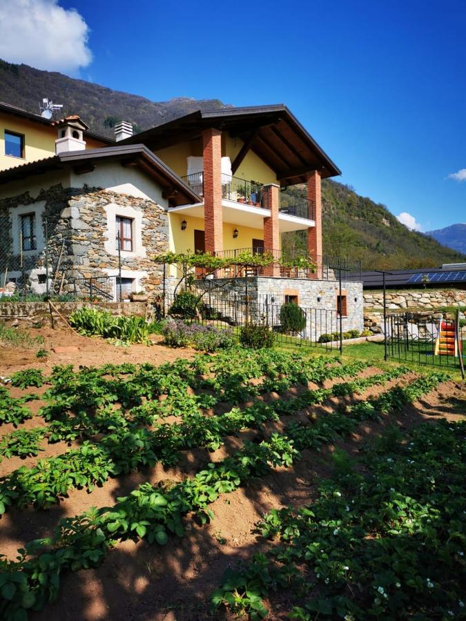 Agriturismo La Ca' D'Amelio Lessolo Екстер'єр фото