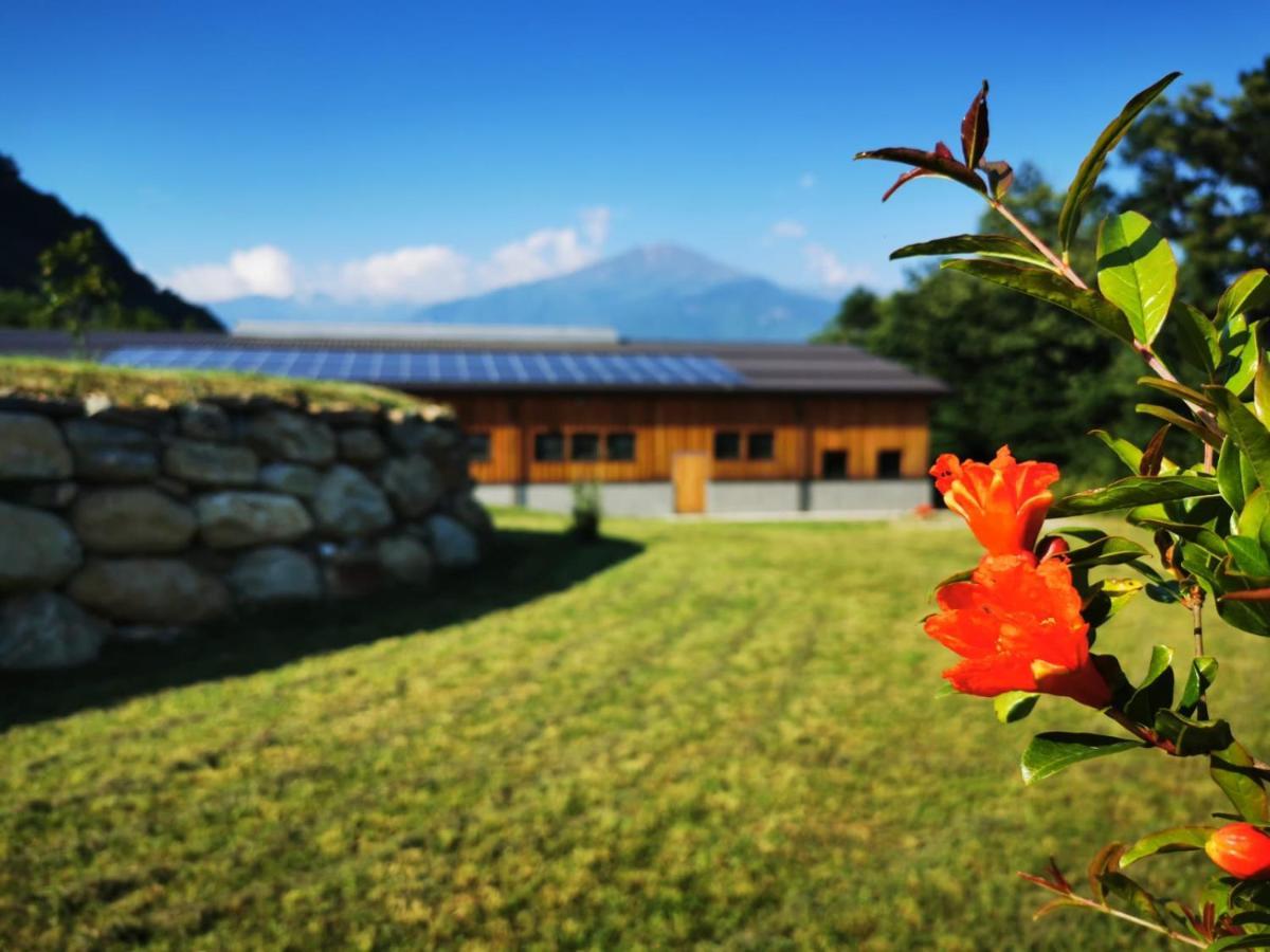 Agriturismo La Ca' D'Amelio Lessolo Екстер'єр фото
